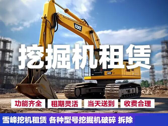 挖掘机租赁大中小挖机租微挖出租 20挖机 60挖机租赁 出租200挖机